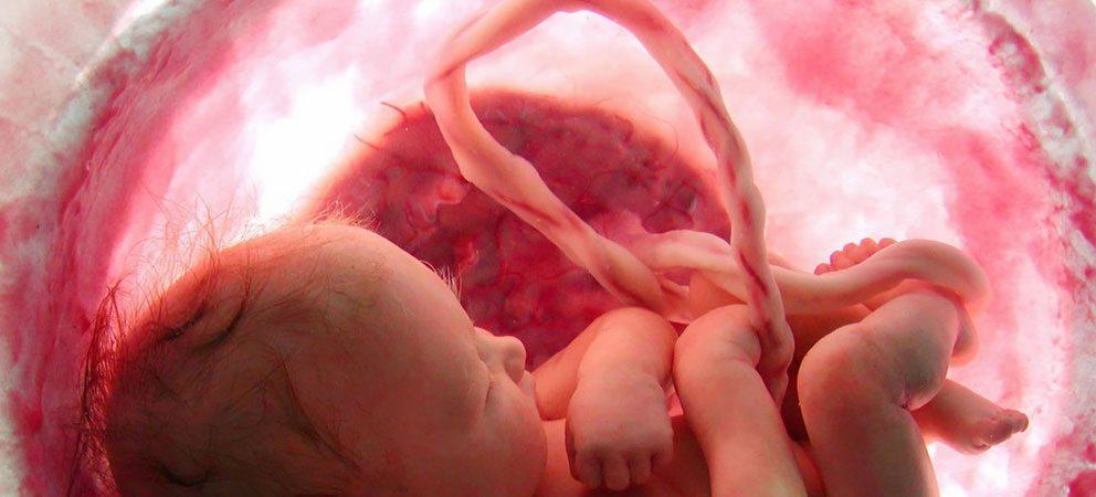 Donare Il Sangue Pro E Contro