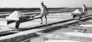 Saline di Cervia vicino a Rimini