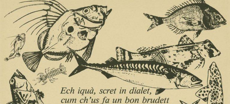 Ech iqua, scret in dialet, cu ch'al fa un buon brudett - Brodo
