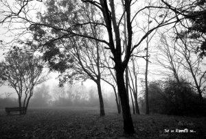 paesaggio autunnale a Rimini