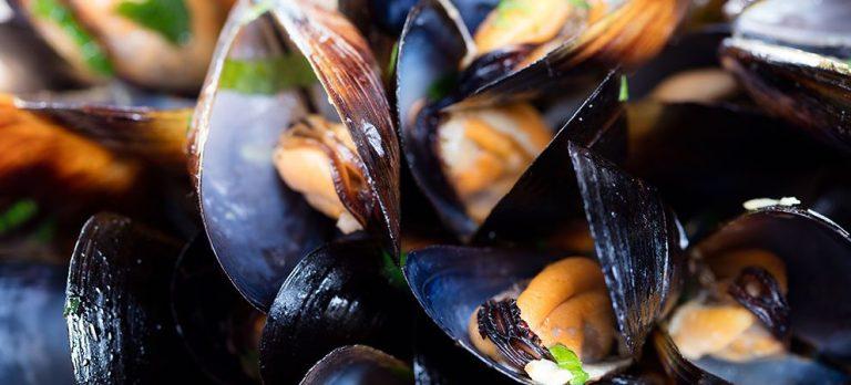 Farfalle con ragù di cozze