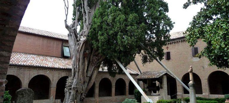 Leggenda Cipresso di San Francesco, provincia di Rimini