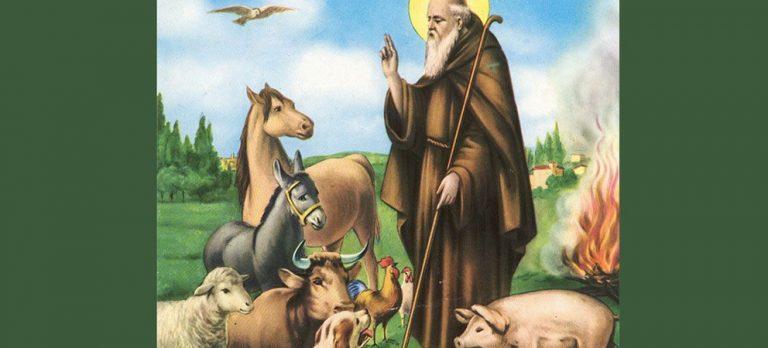 E' MIRÈCLI 'D SANT'ANTONÌ