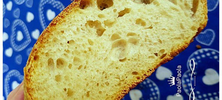 Pane con pasta madre